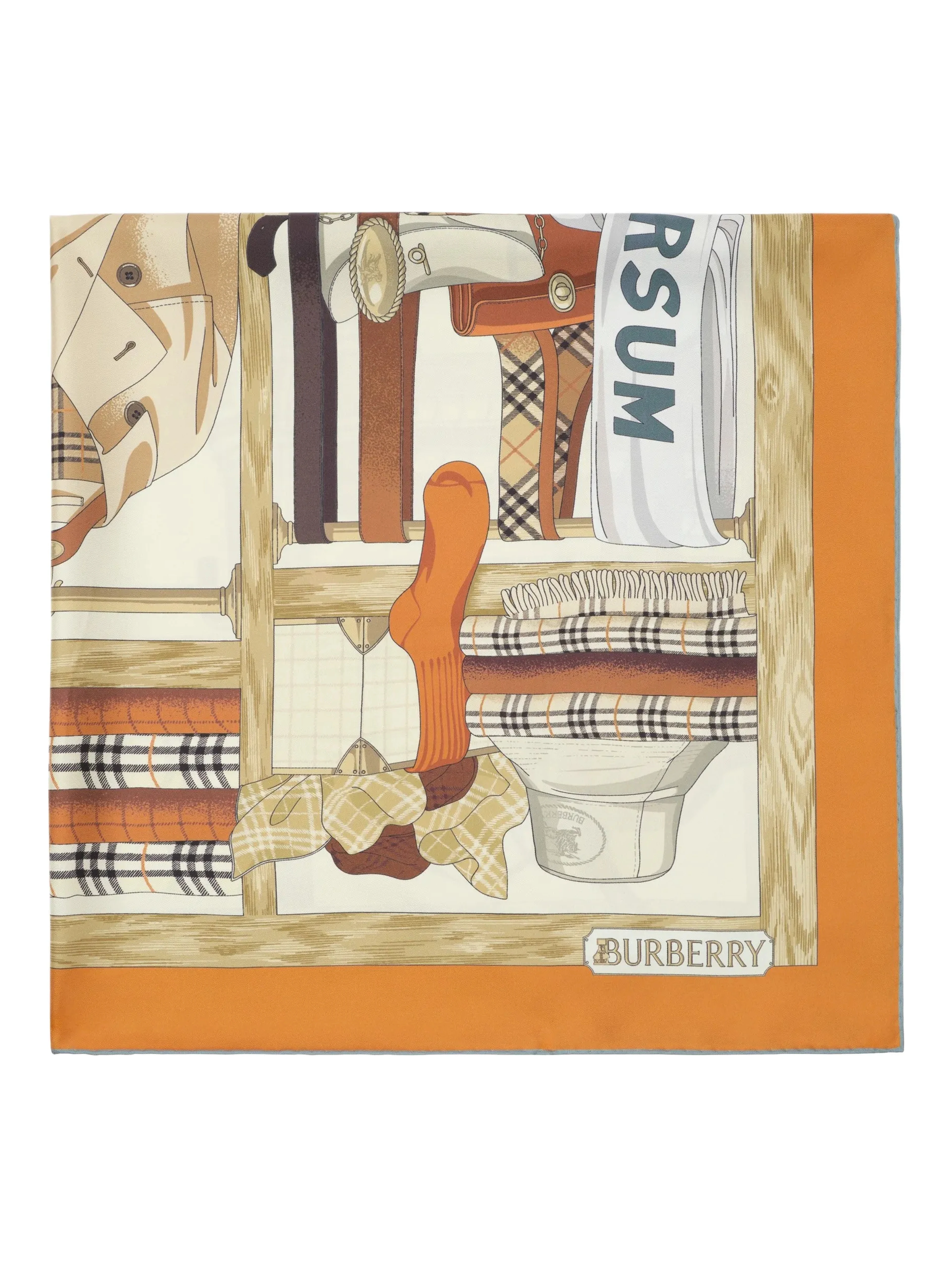 Burberry Scarfs