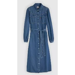Levi's Dresses
