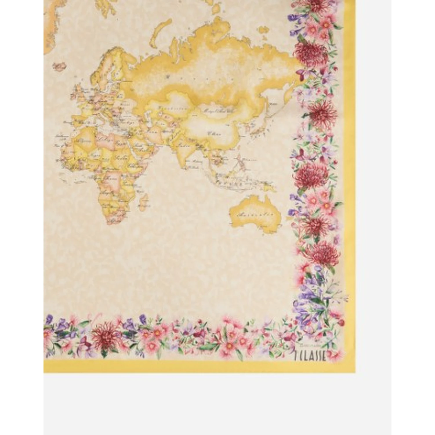Alviero Martini Scarfs