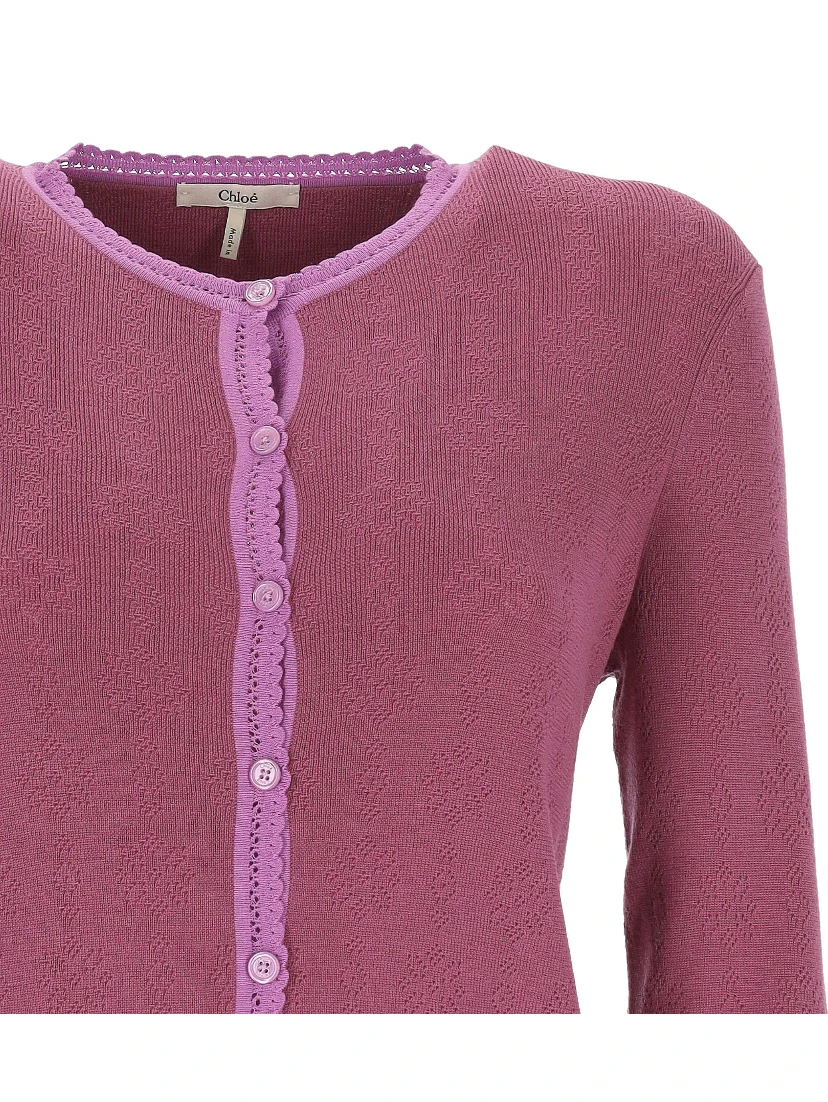 Chloè Sweaters
