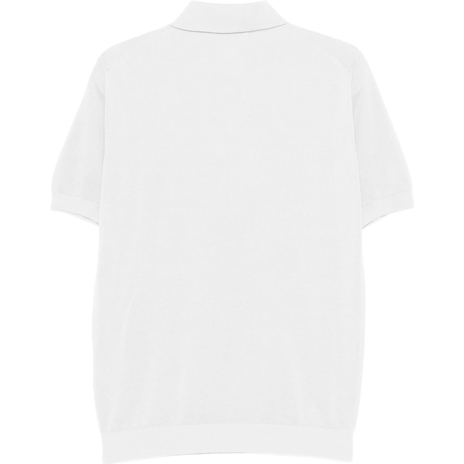 Lardini T-shirts and Polos