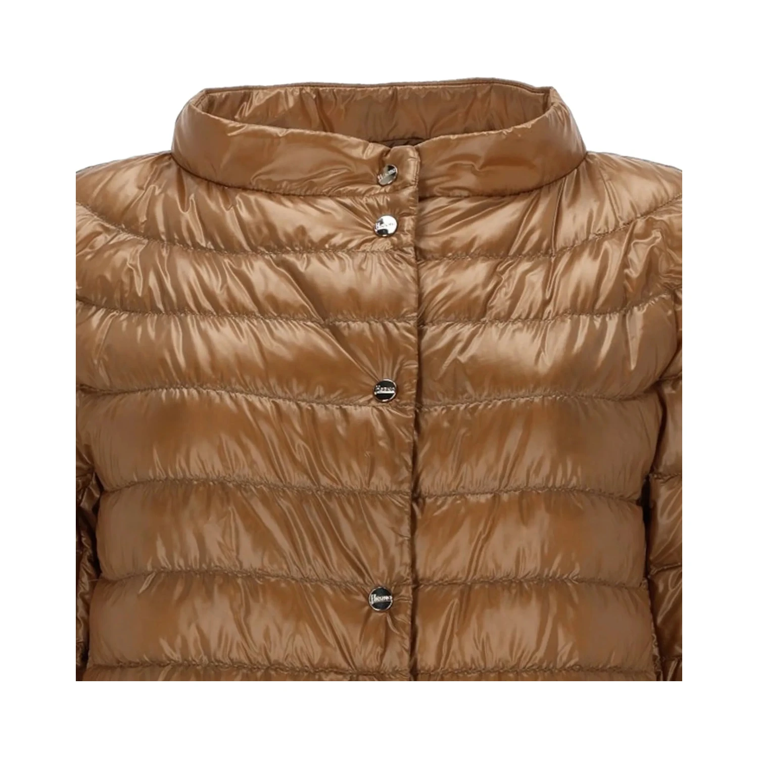 Herno Jackets