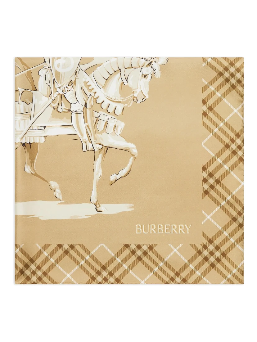 Burberry Scarfs