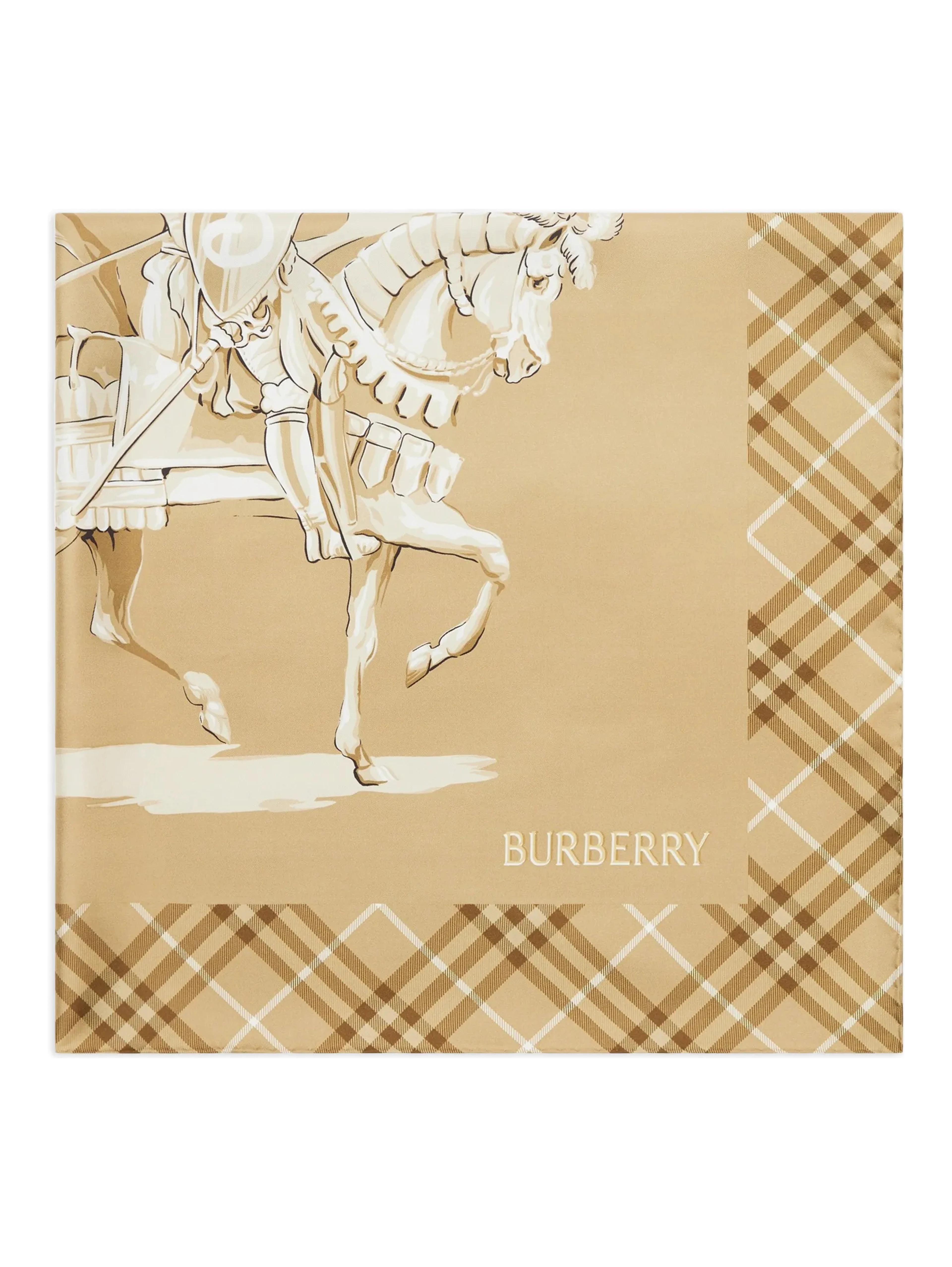 Burberry Scarfs