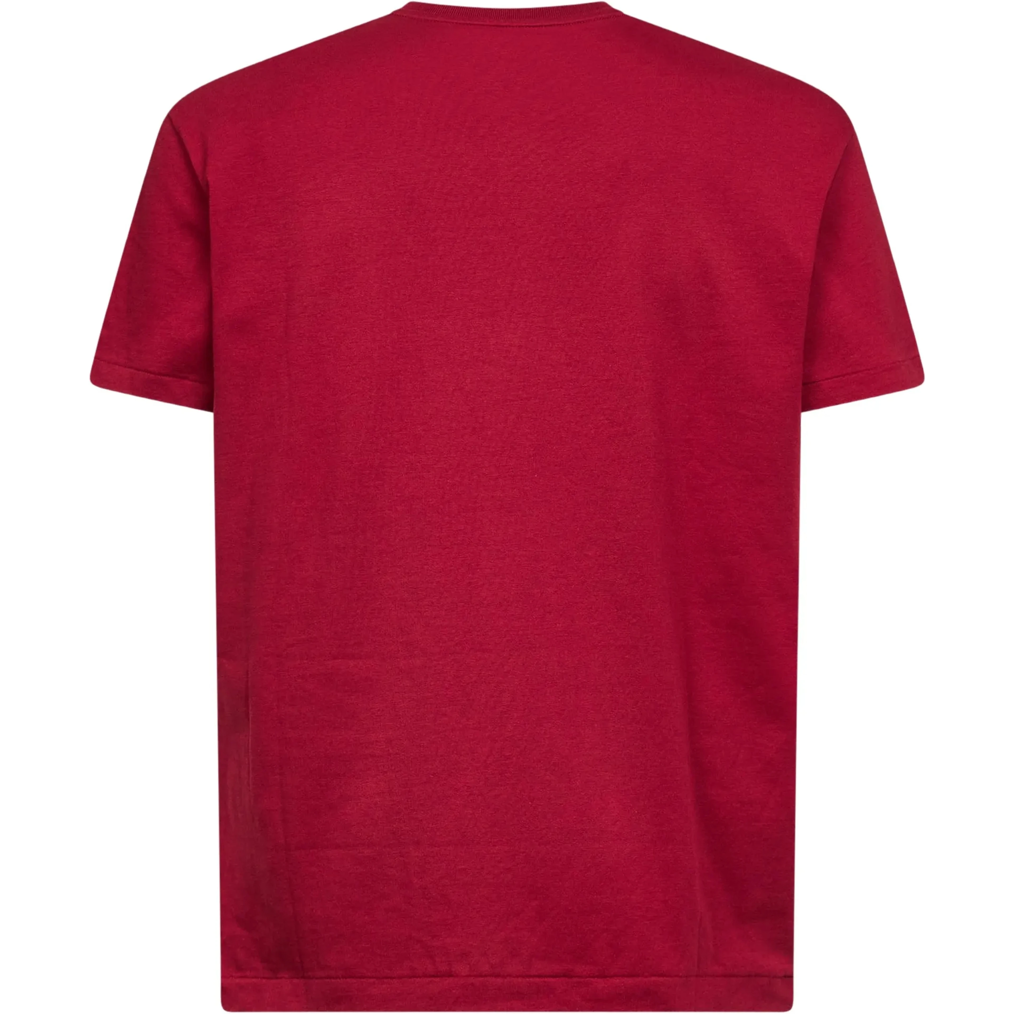Polo Ralph Lauren T-shirts and Polos