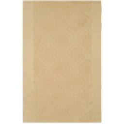 Burberry Scarfs
