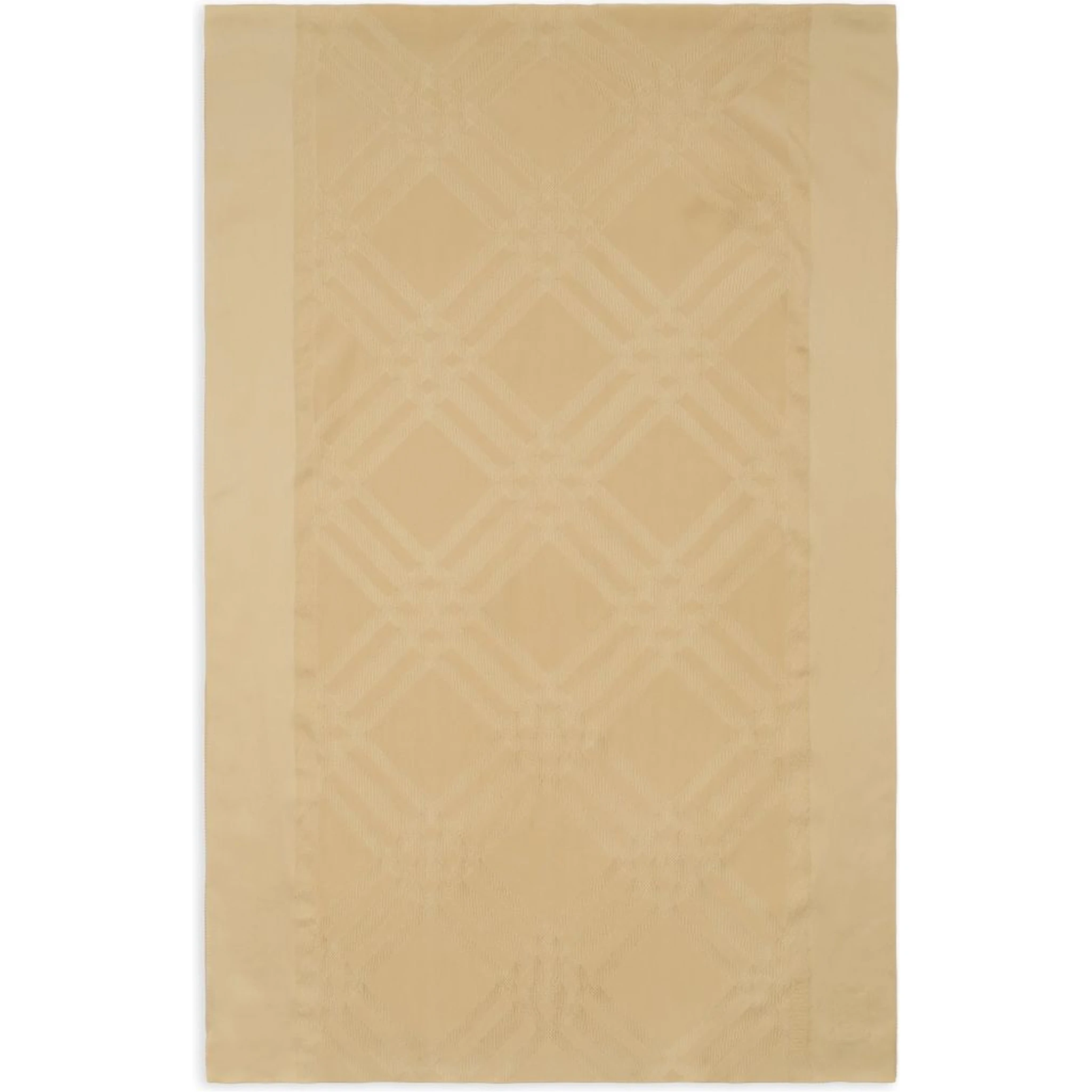 Burberry Scarfs