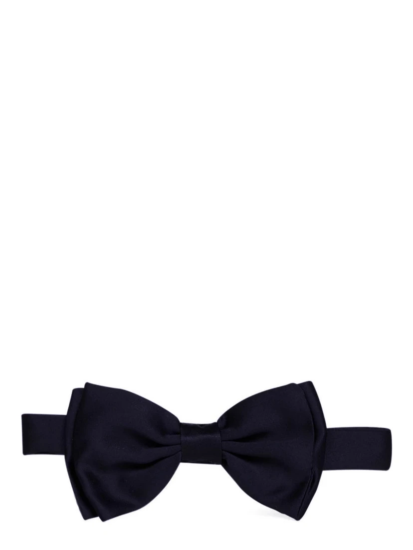 Lardini Ties