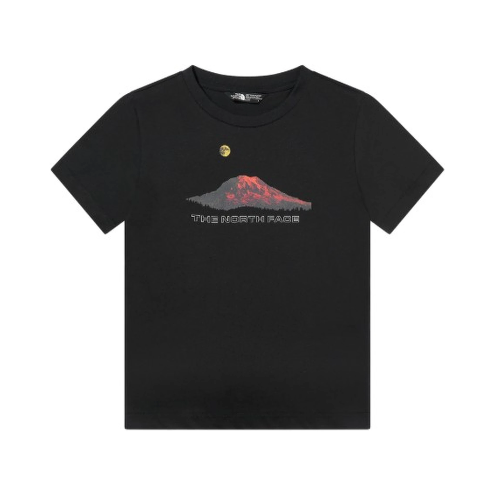 THE NORTH FACE T-shirts and Polos