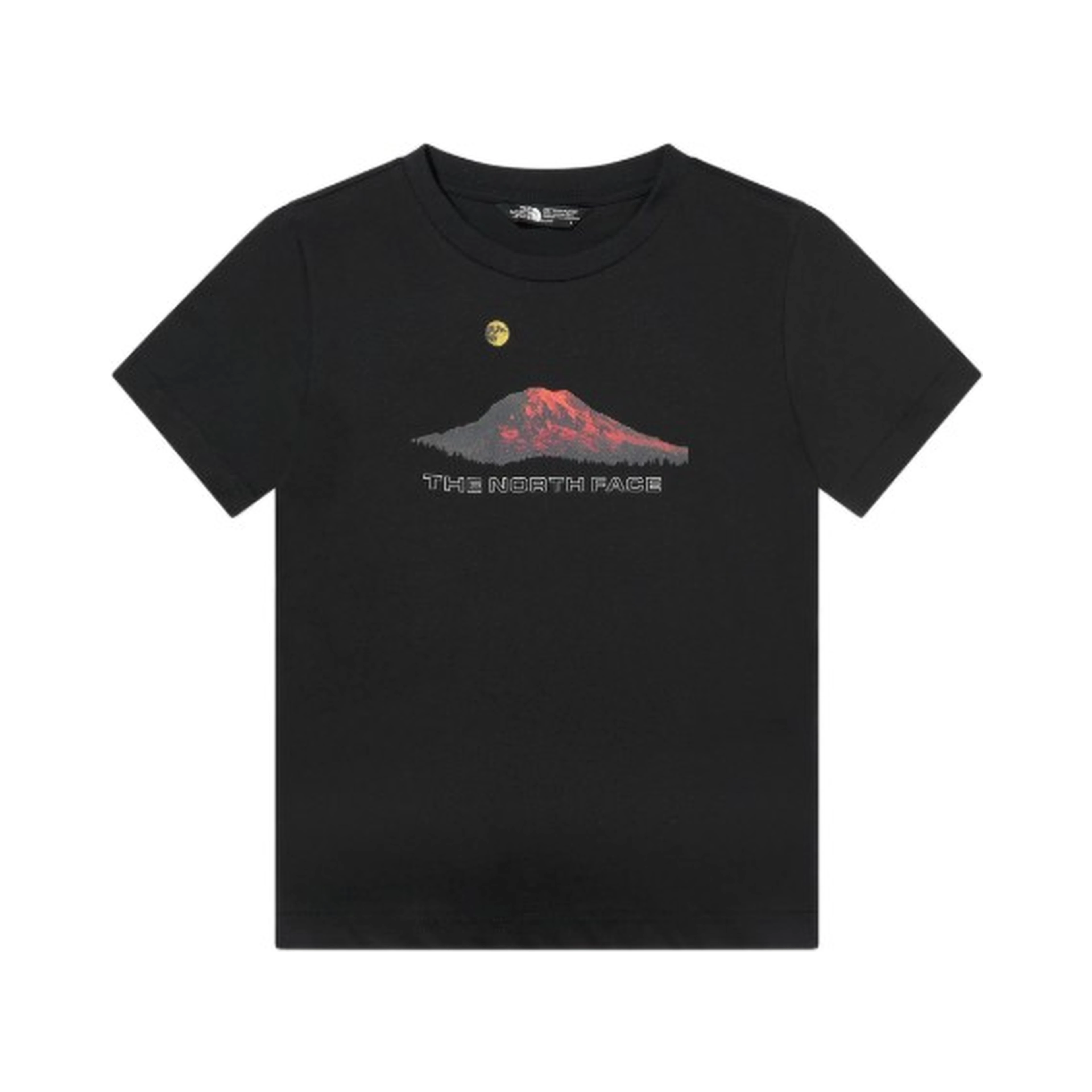 THE NORTH FACE T-shirts and Polos