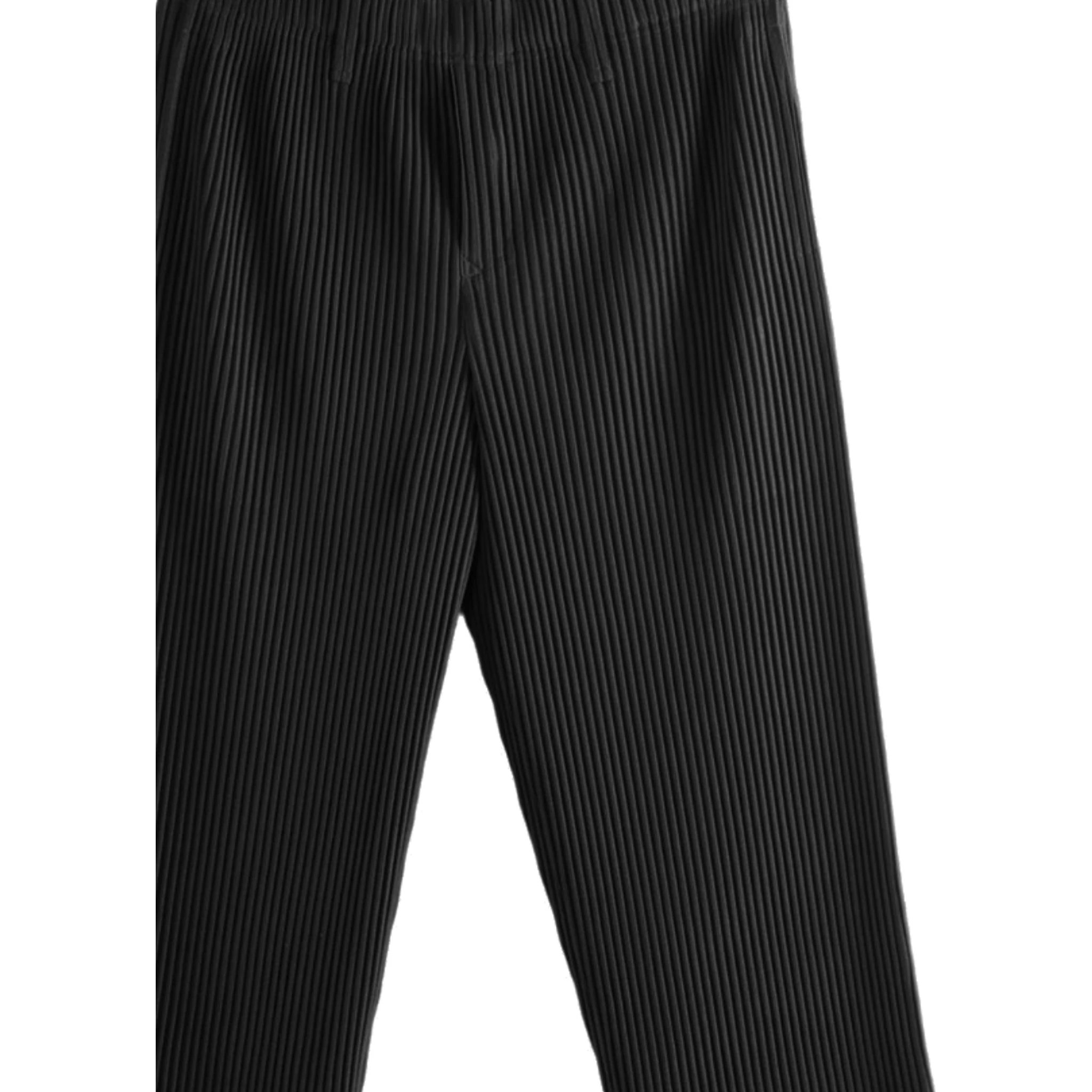 Issey Miyake Trousers