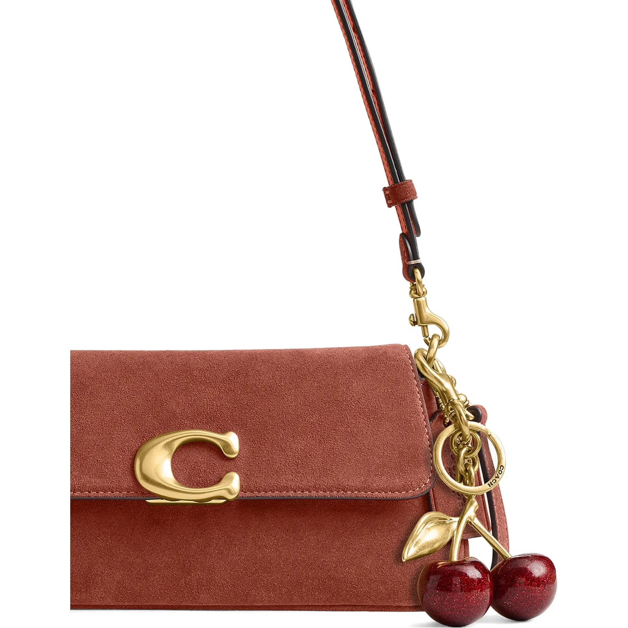 Coach Bags