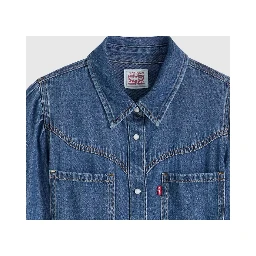 Levi's Dresses