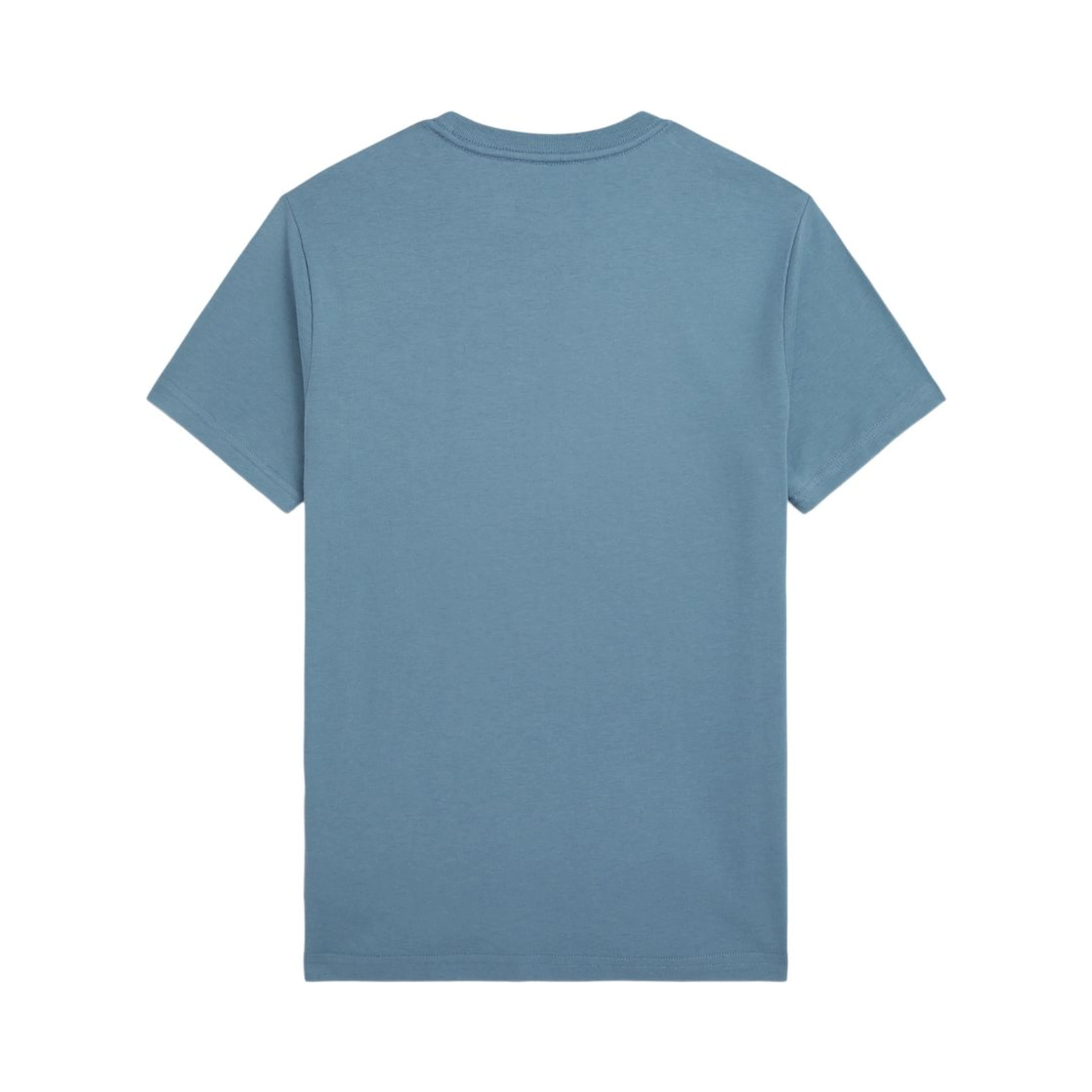 Polo Ralph Lauren T-shirts and Polos