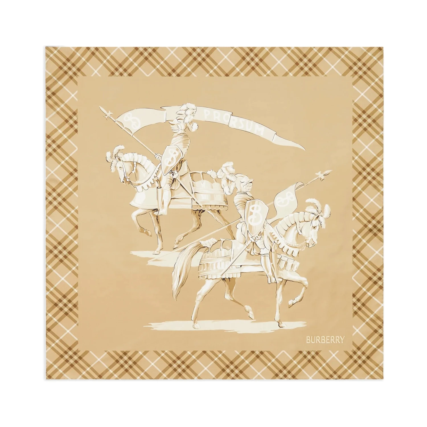 Burberry Scarfs