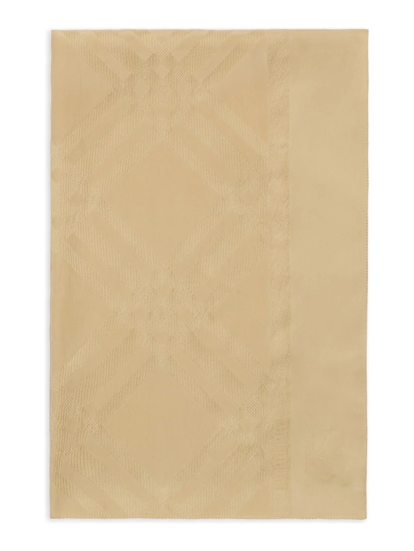 Burberry Scarfs