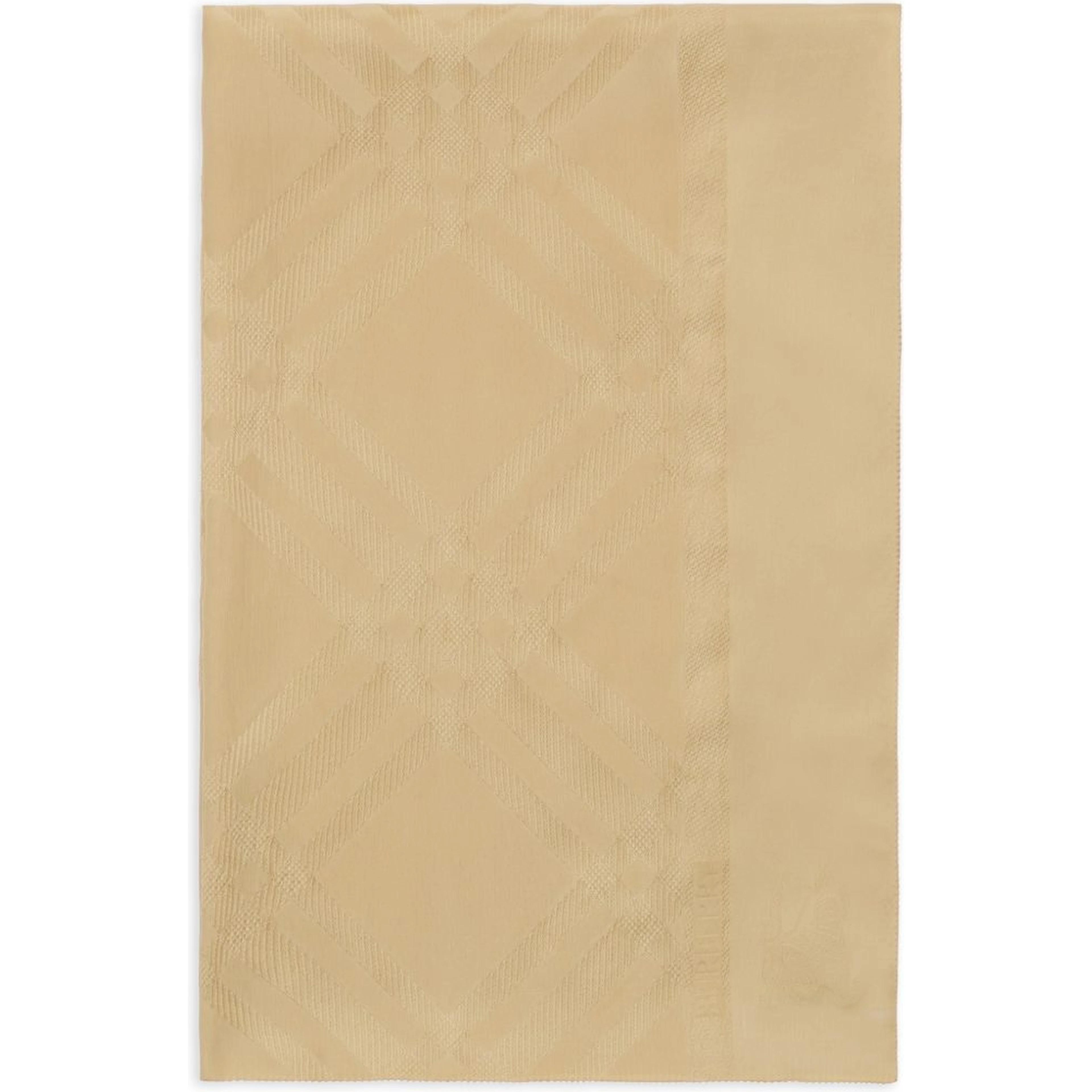 Burberry Scarfs