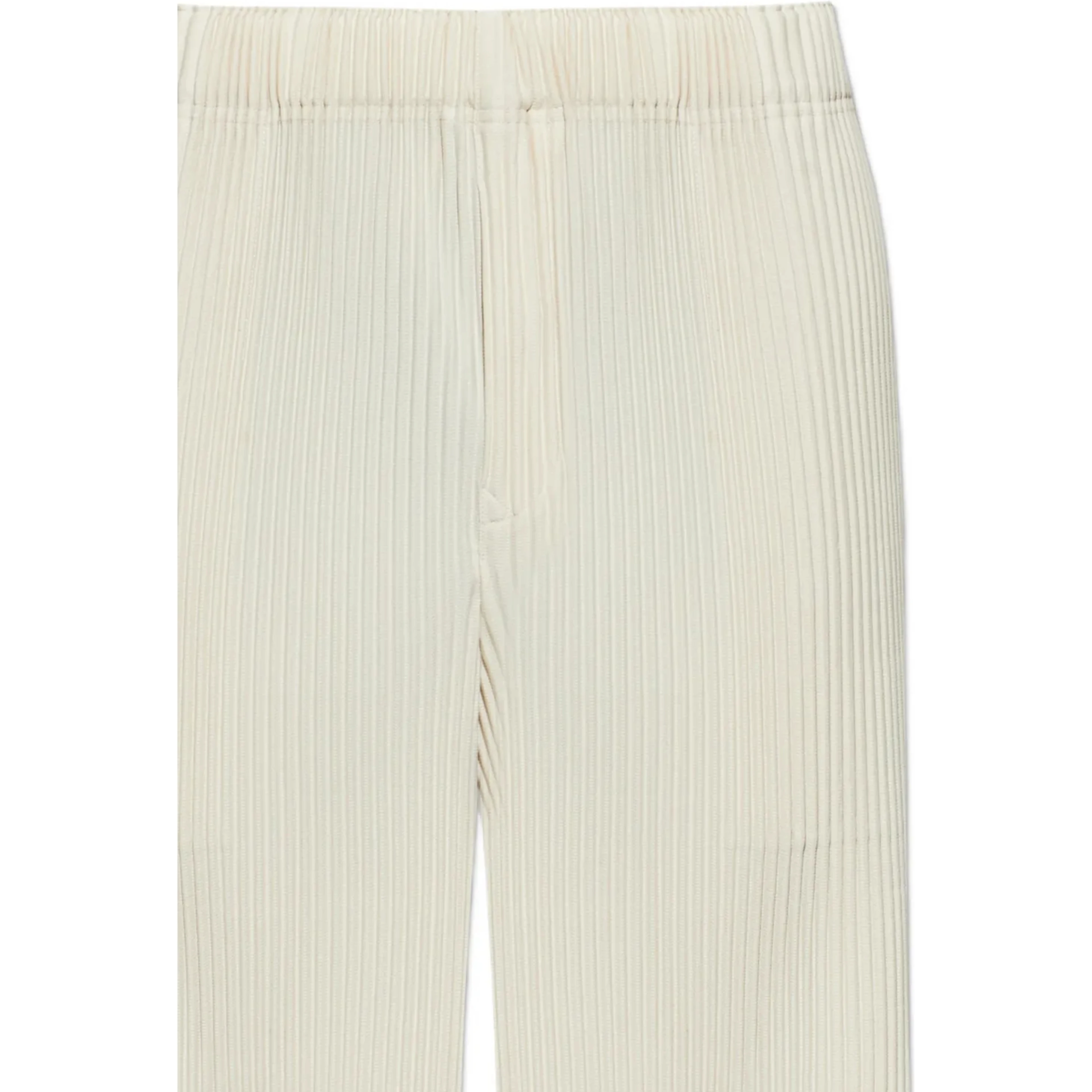 Issey Miyake Trousers