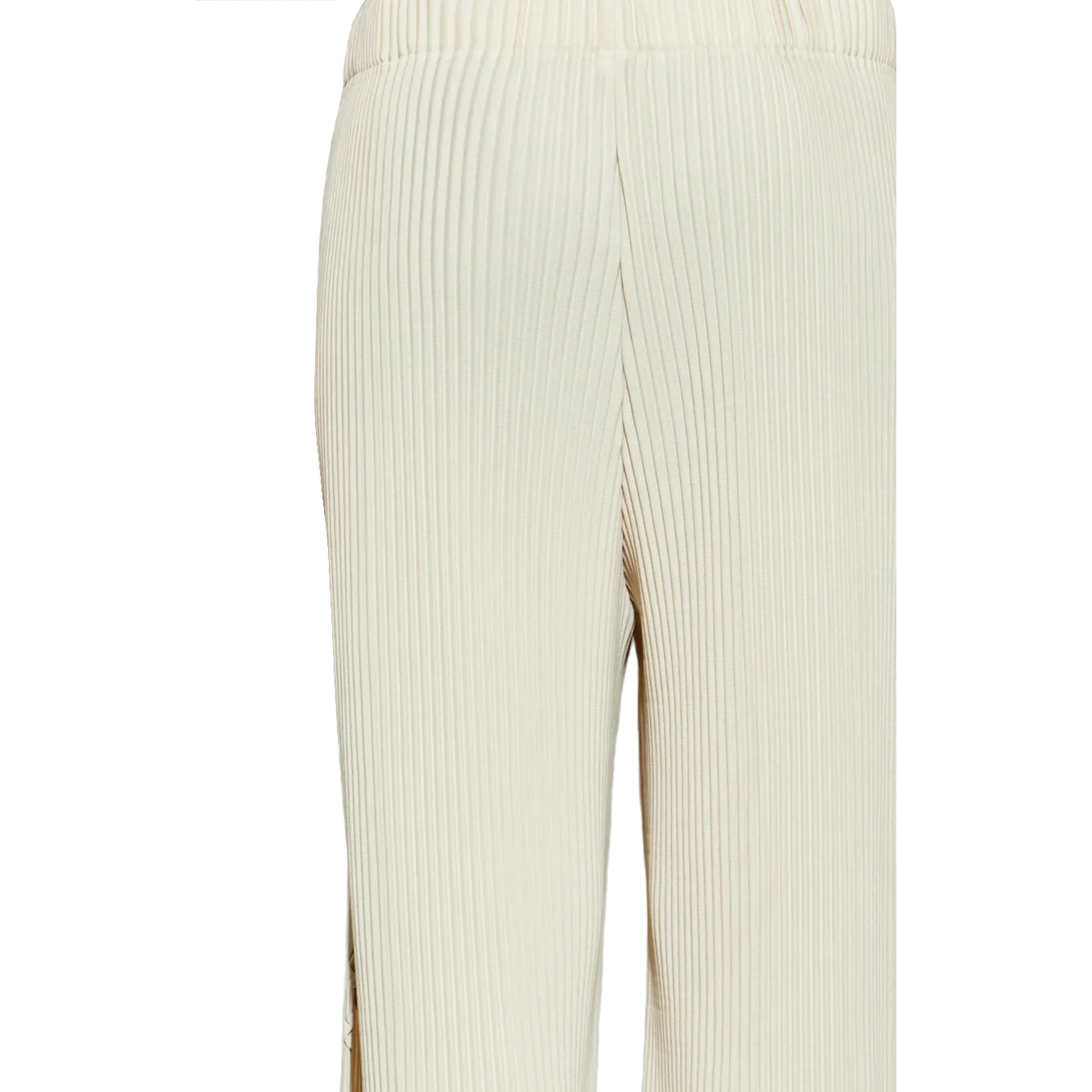 Issey Miyake Trousers