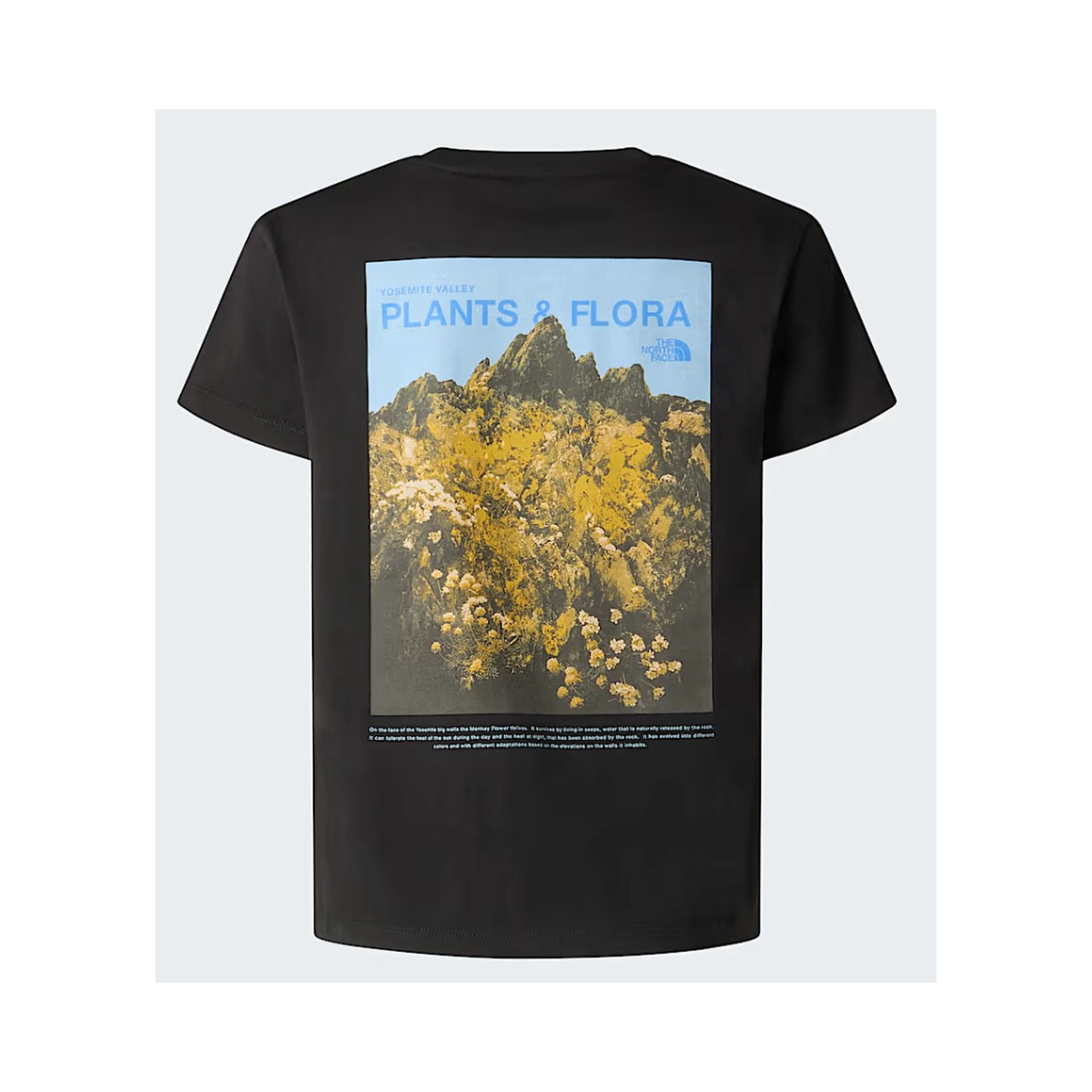 THE NORTH FACE T-shirts and Polos