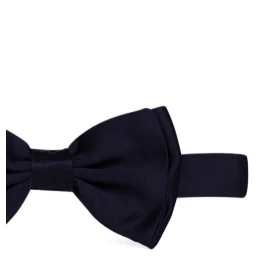 Lardini Ties
