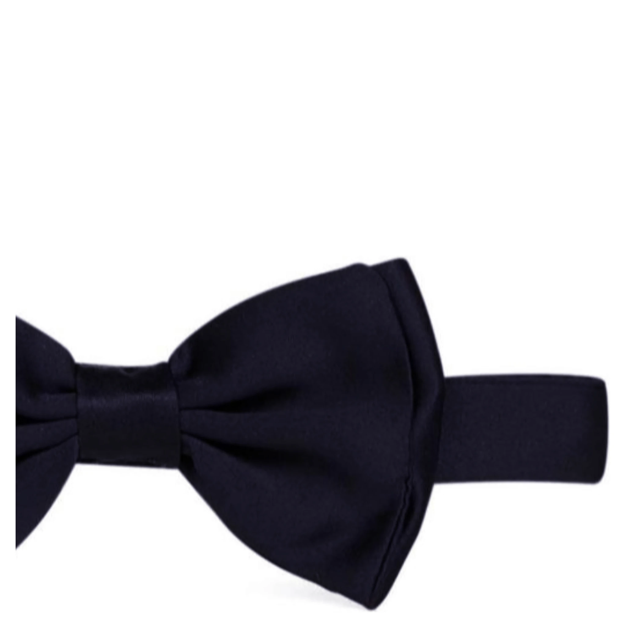 Lardini Ties