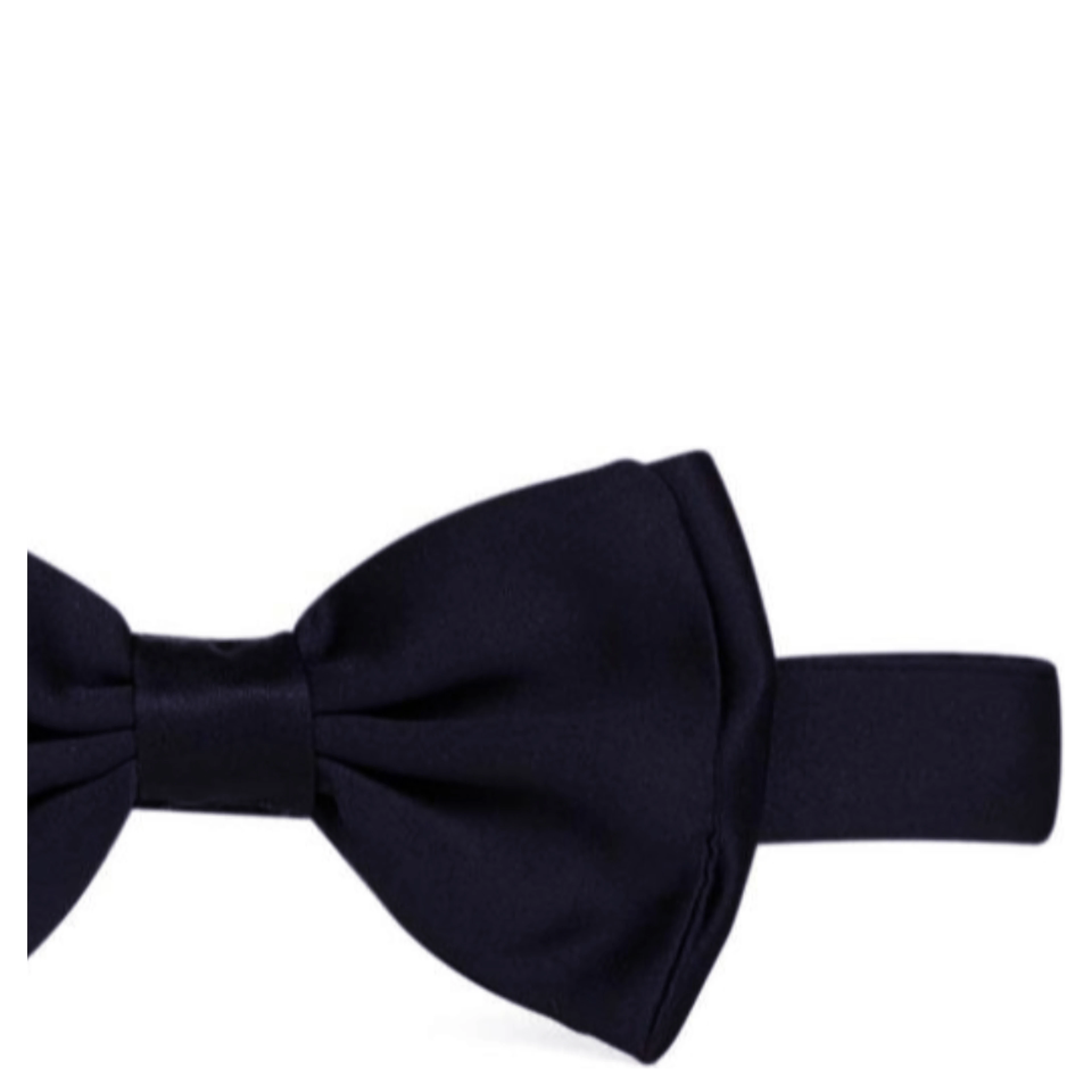 Lardini Ties