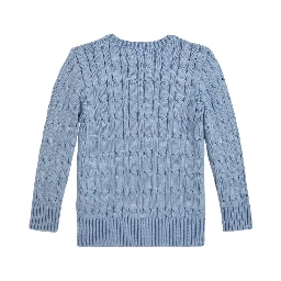 Polo Ralph Lauren Sweaters