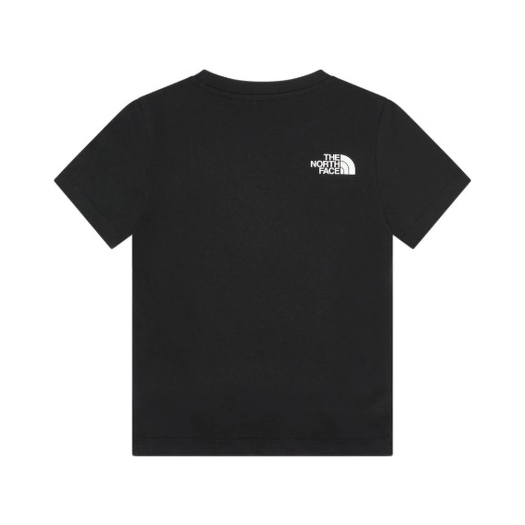 THE NORTH FACE T-shirts and Polos
