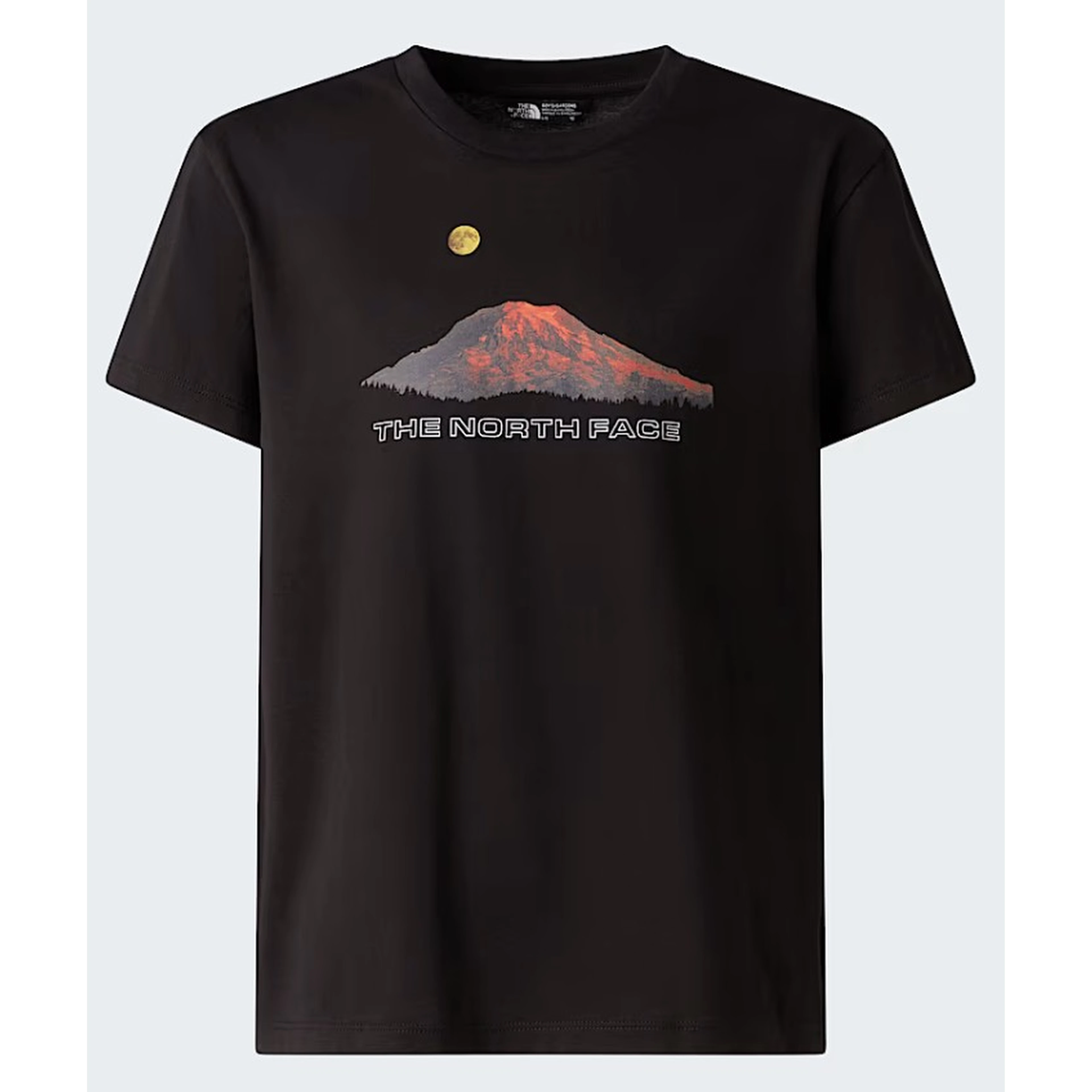 THE NORTH FACE T-shirts and Polos