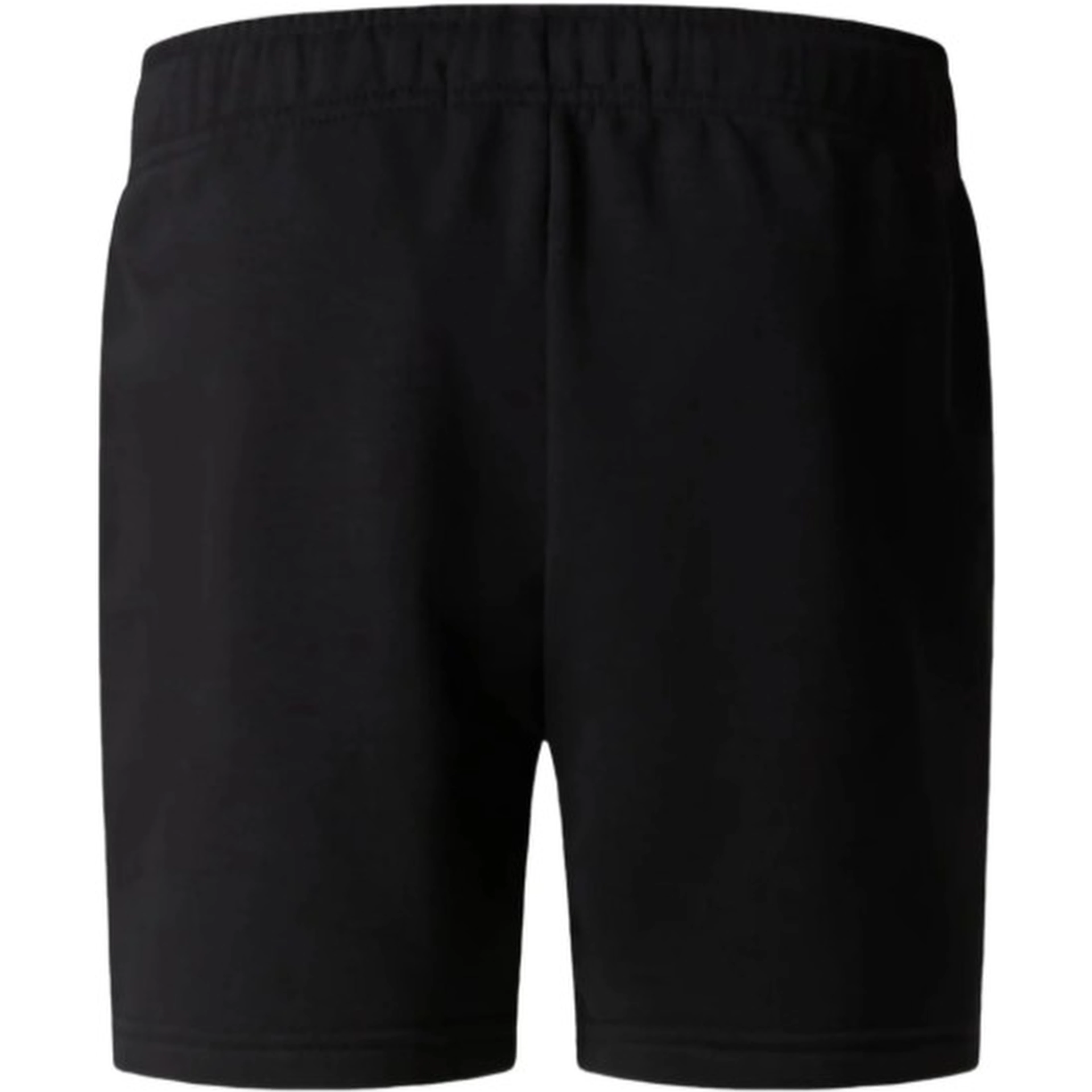 THE NORTH FACE Shorts