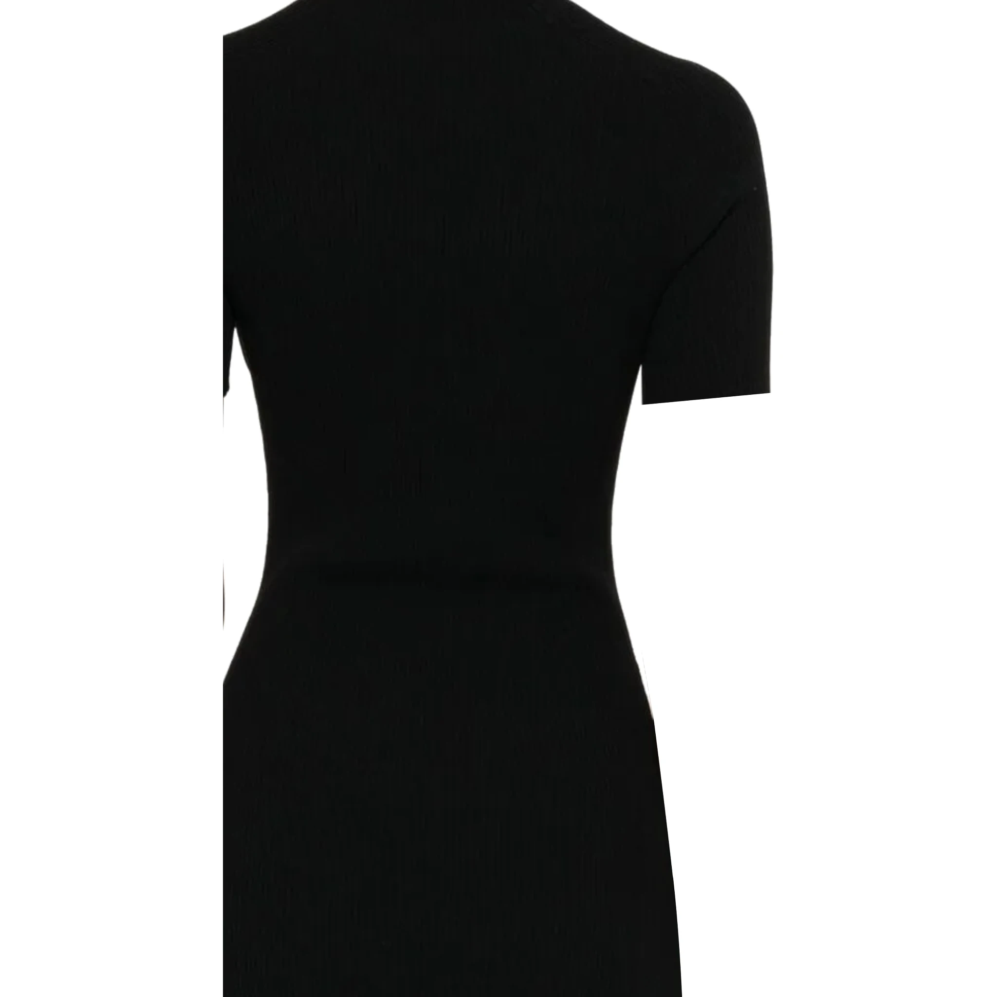Alexander Wang Dresses Black