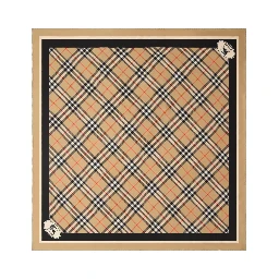 Burberry Scarfs