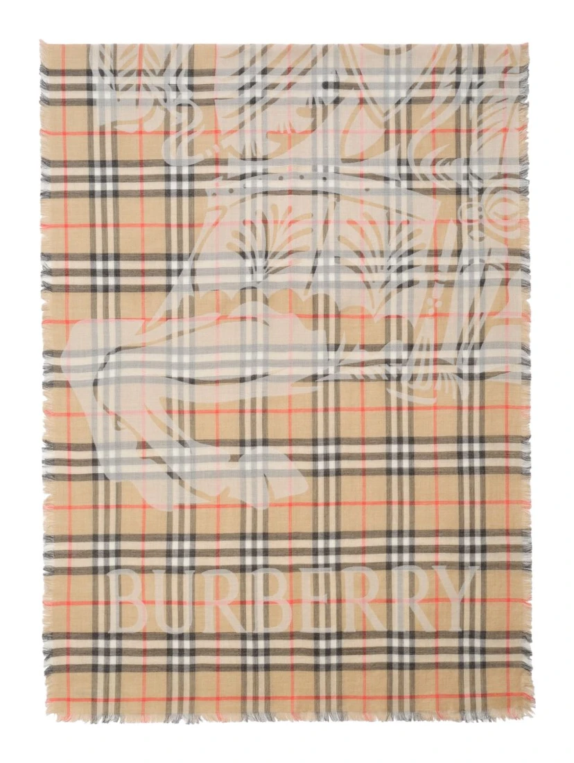 Burberry Scarfs