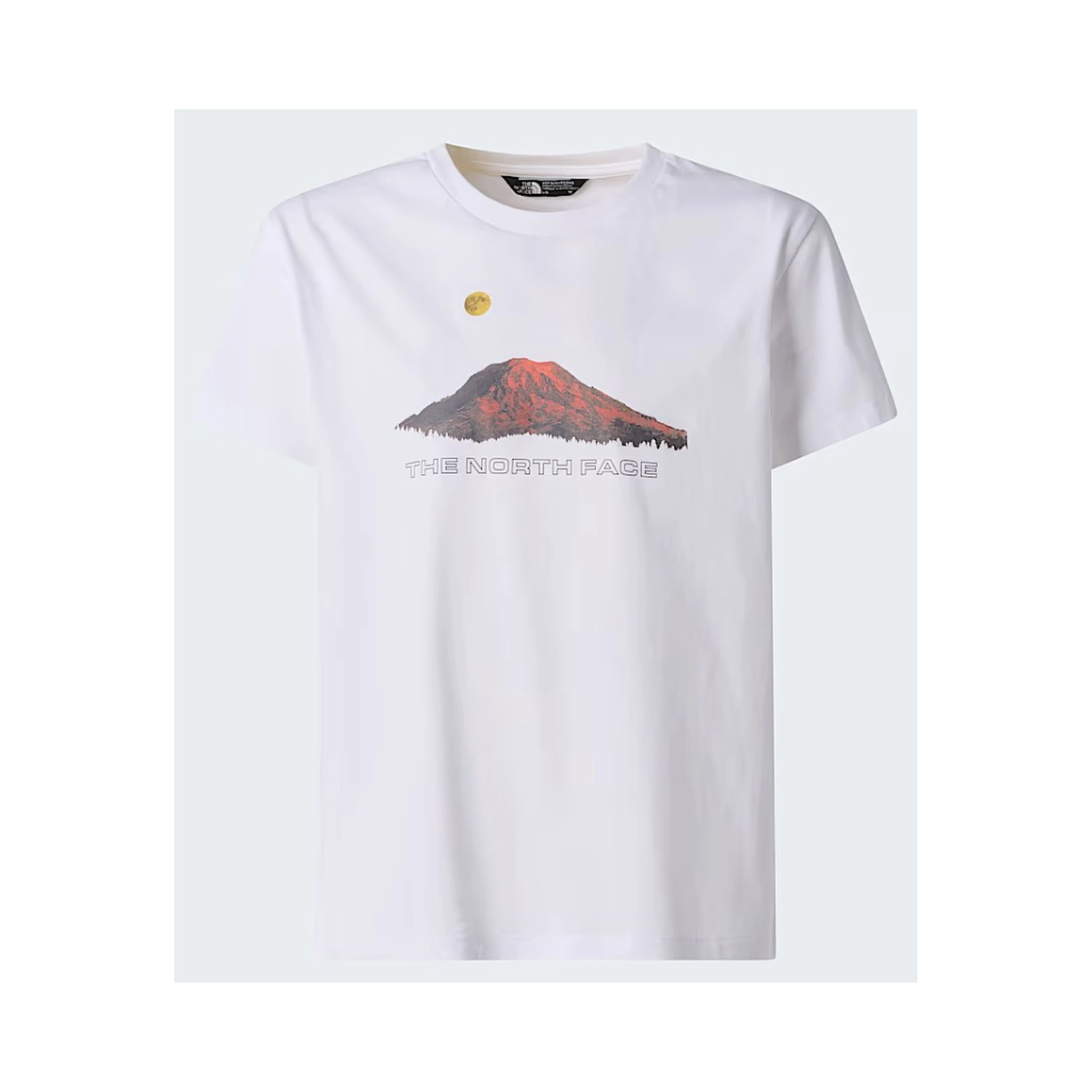 THE NORTH FACE T-shirts and Polos