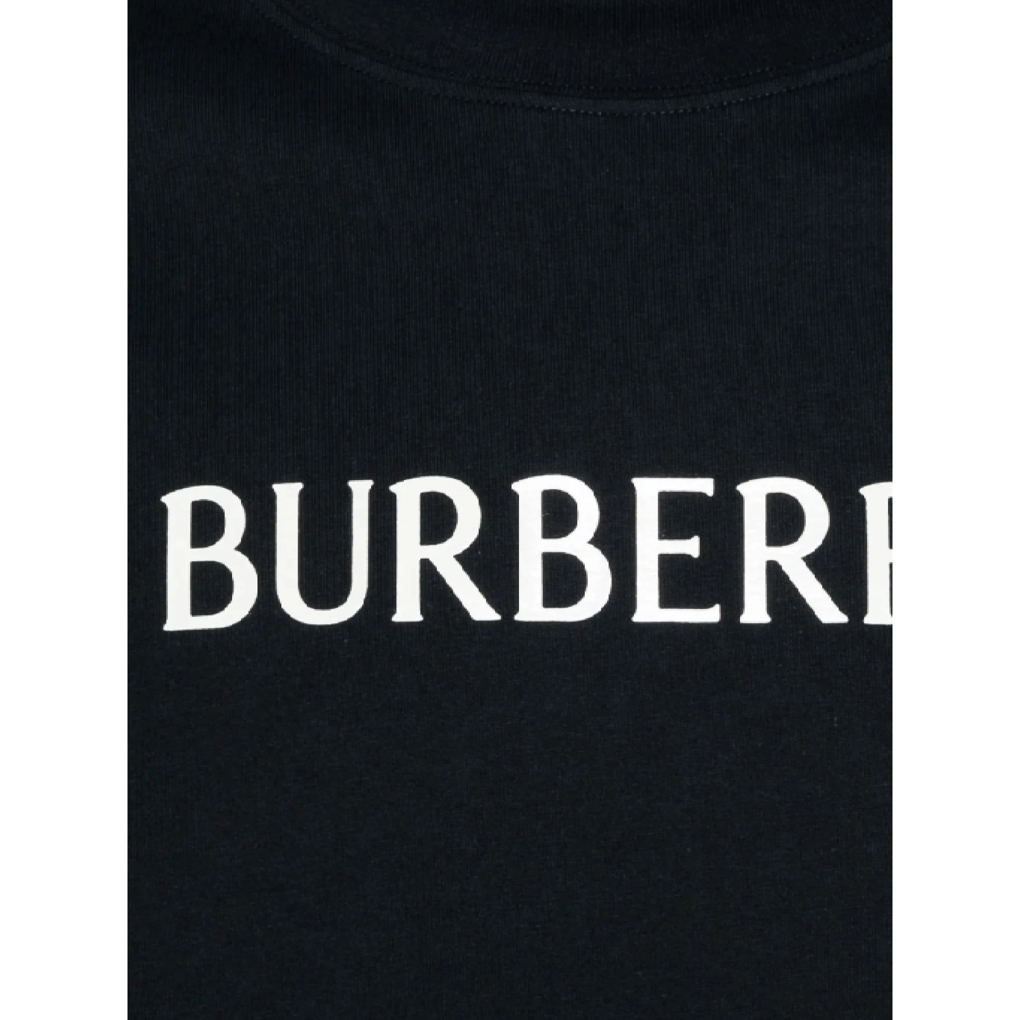 Burberry T-shirts and Polos Blue