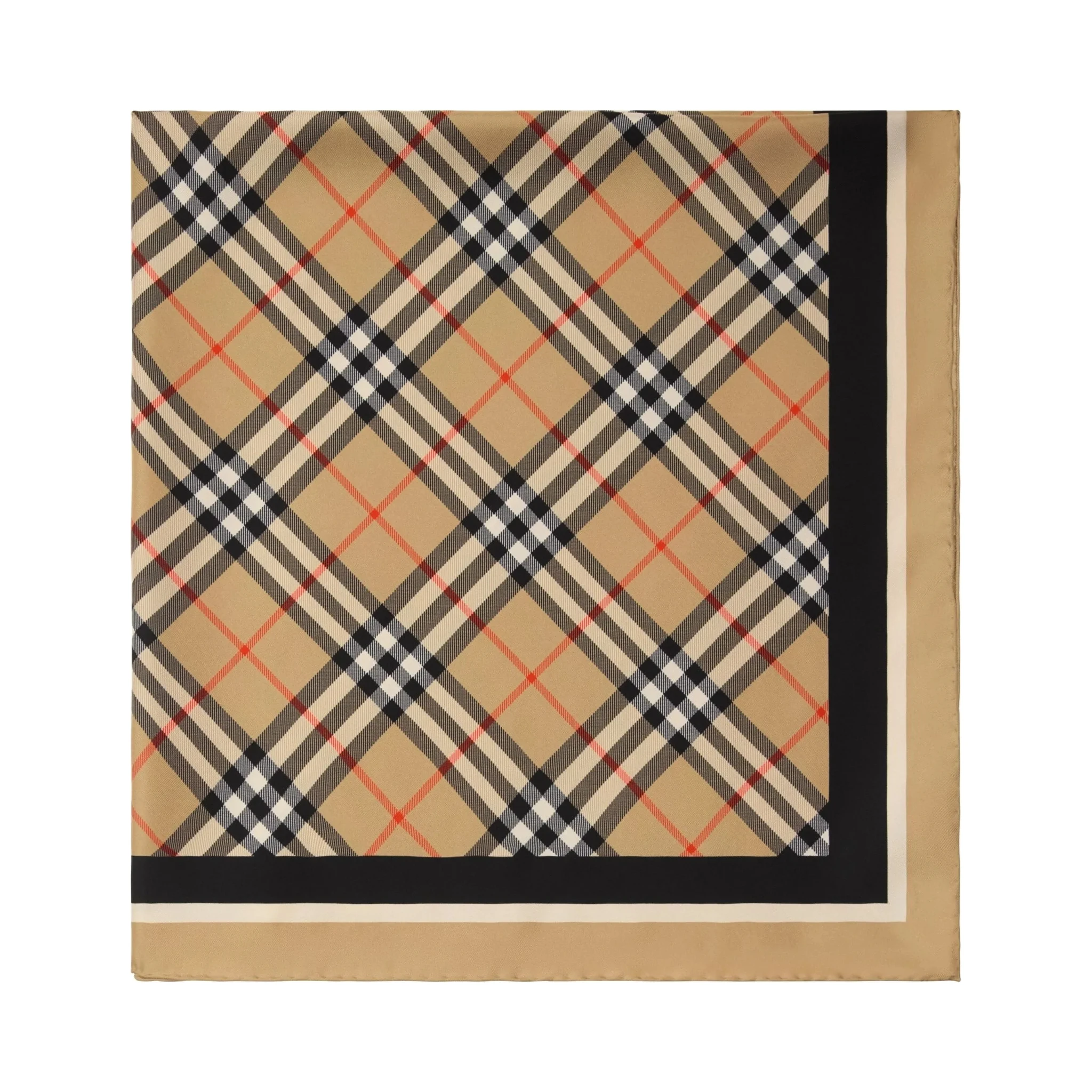 Burberry Scarfs