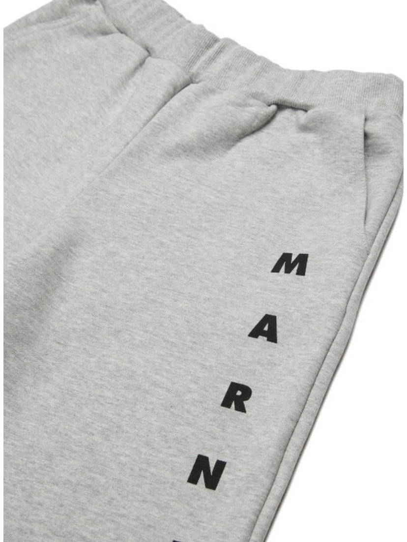 Marni Shorts