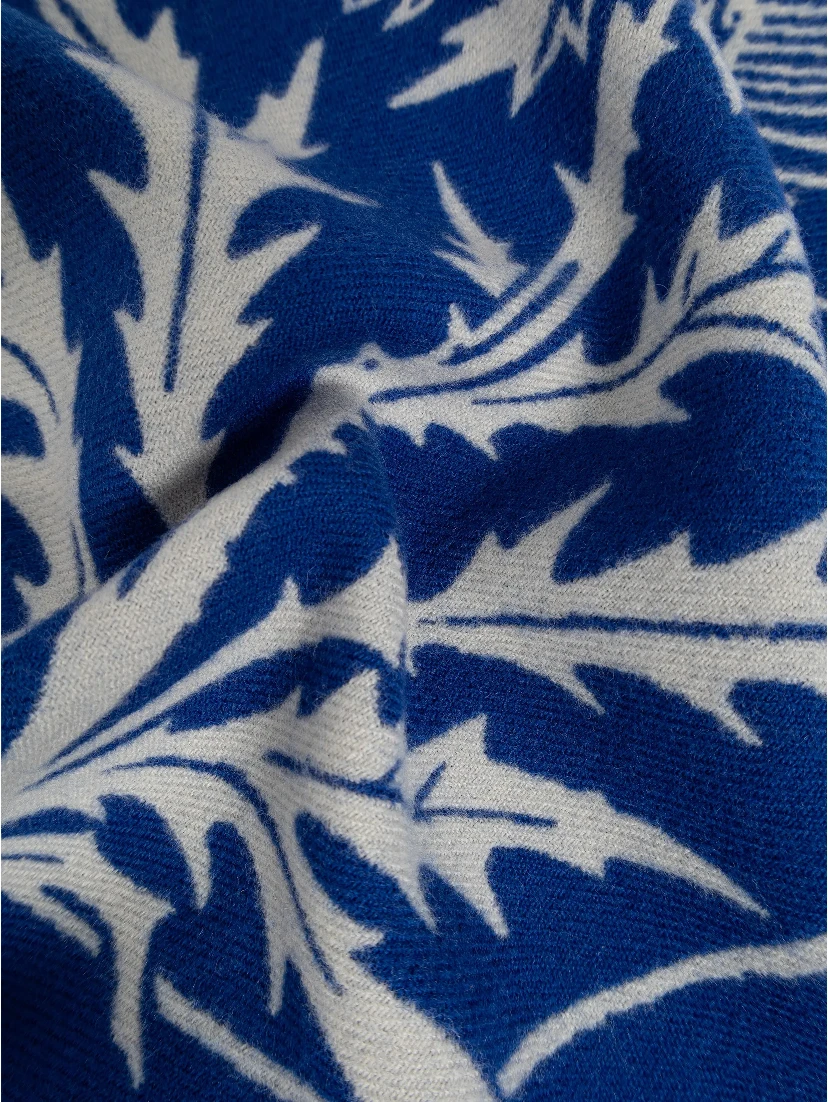 Burberry Scarfs