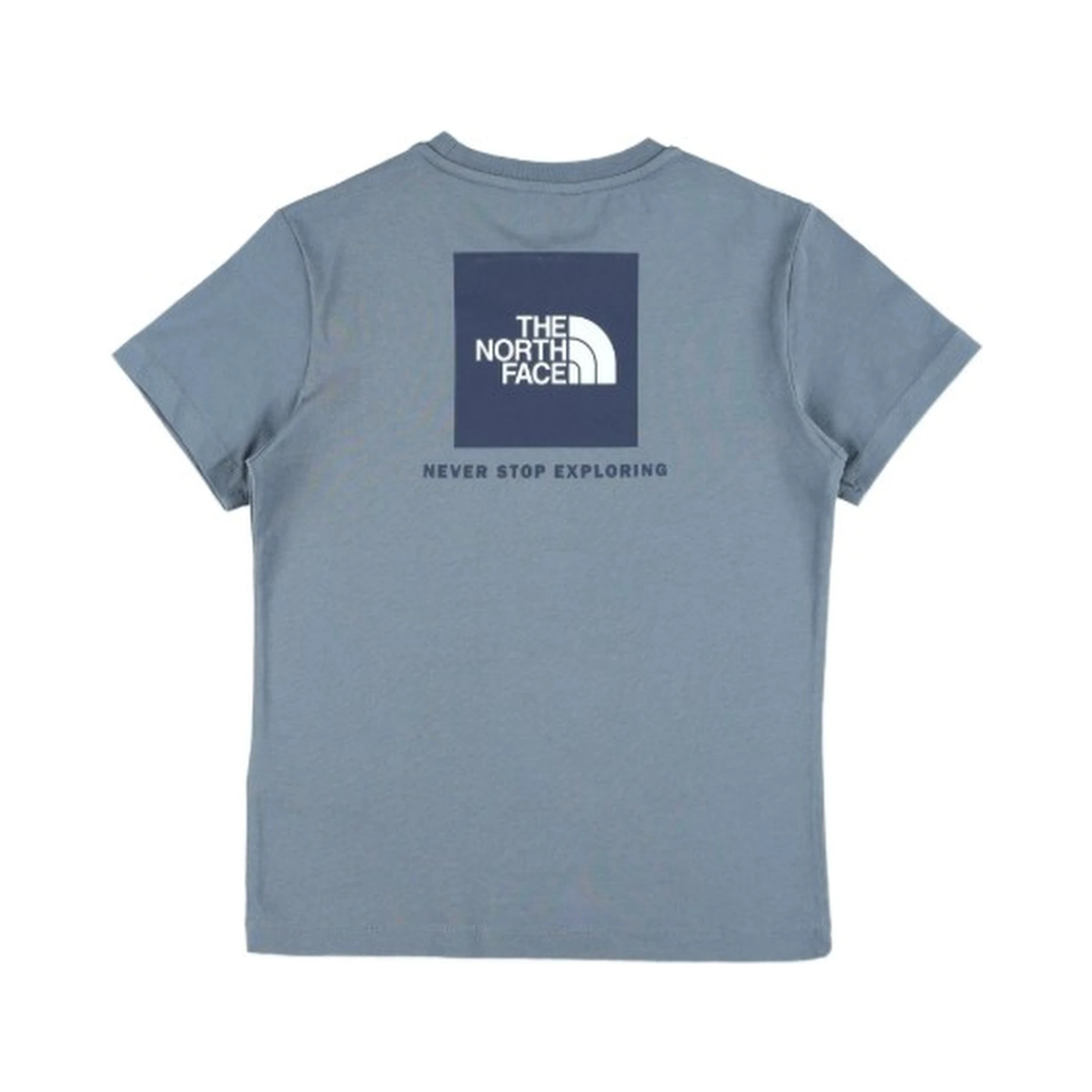 THE NORTH FACE T-shirts and Polos