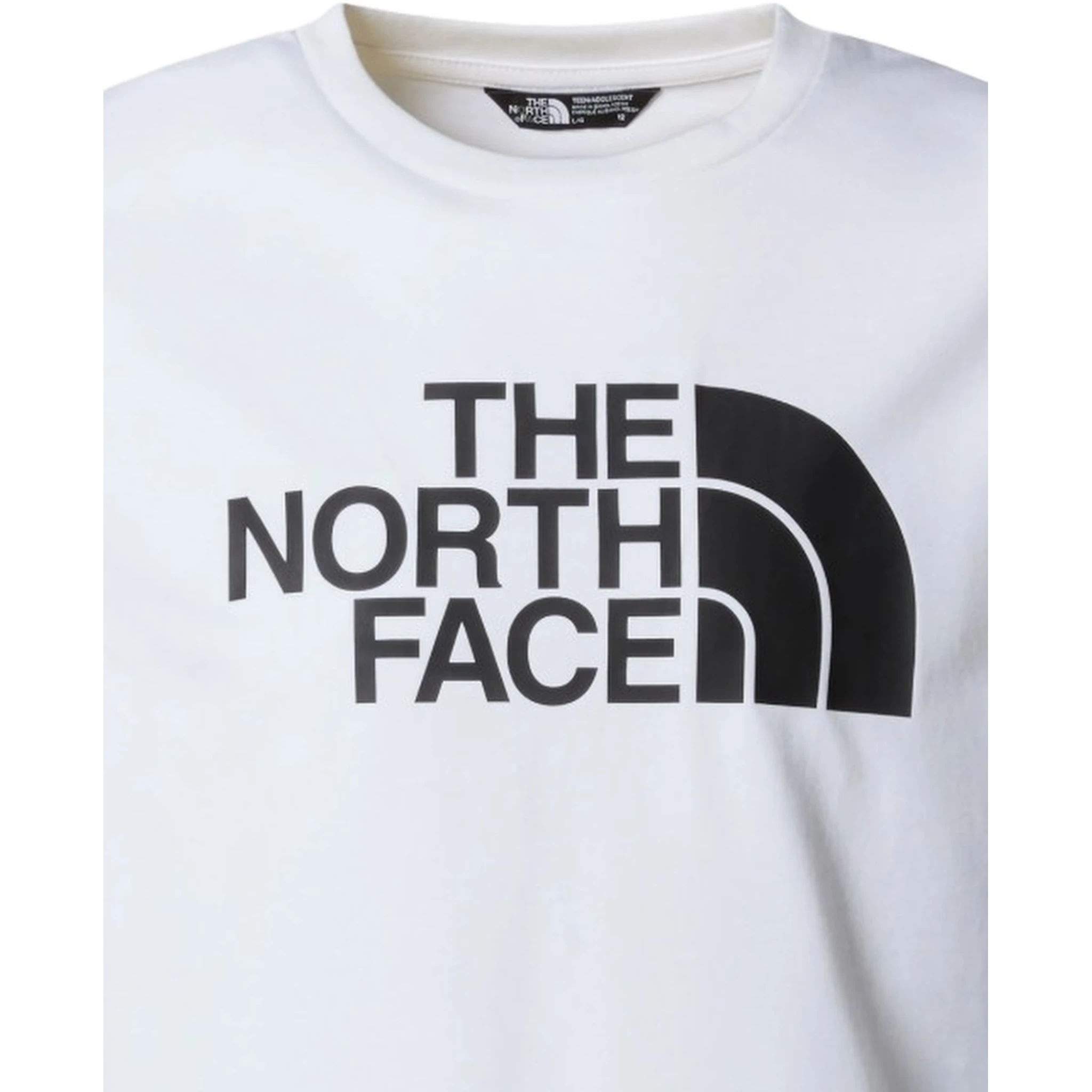 THE NORTH FACE T-shirts and Polos