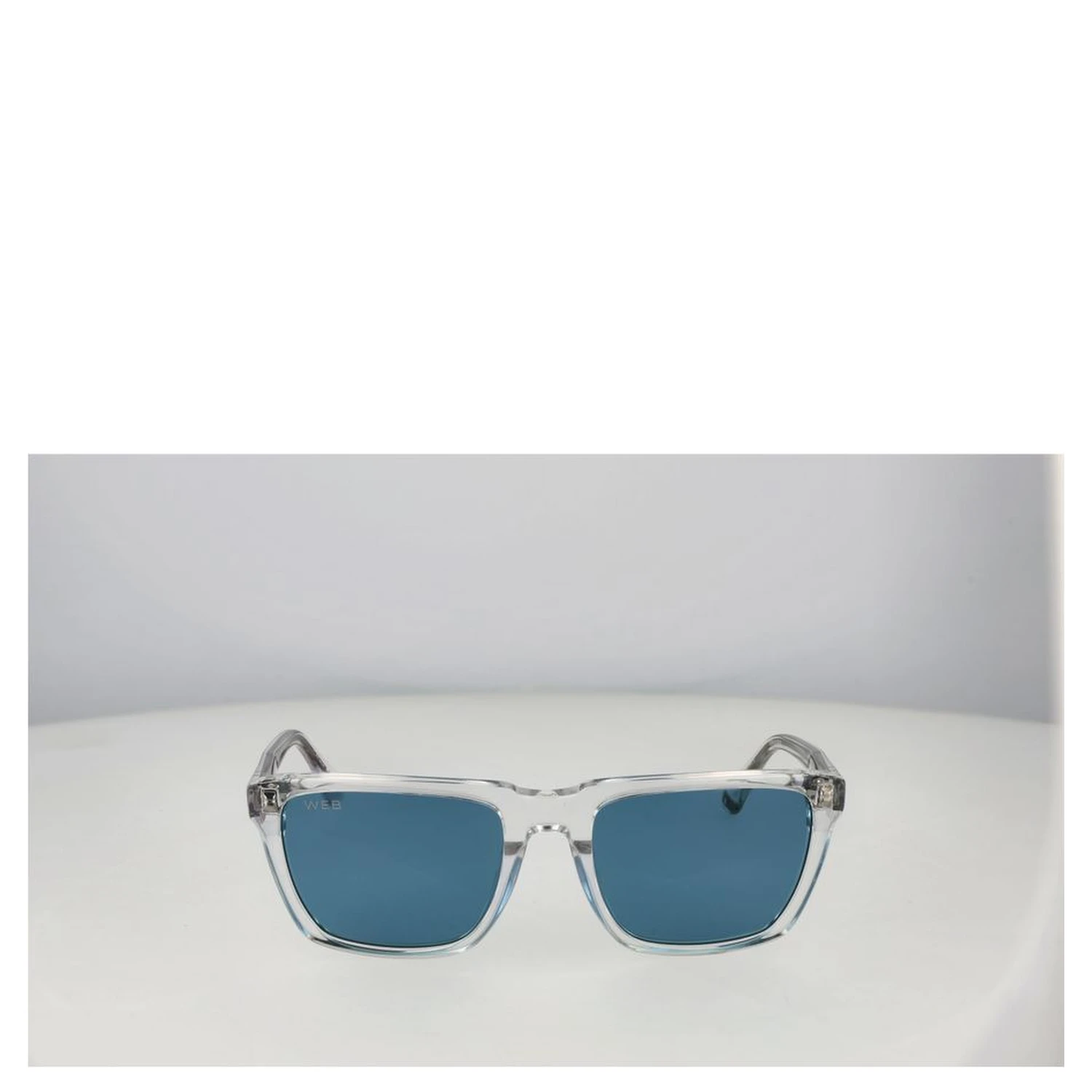 Transparent Acetate Sunglasses