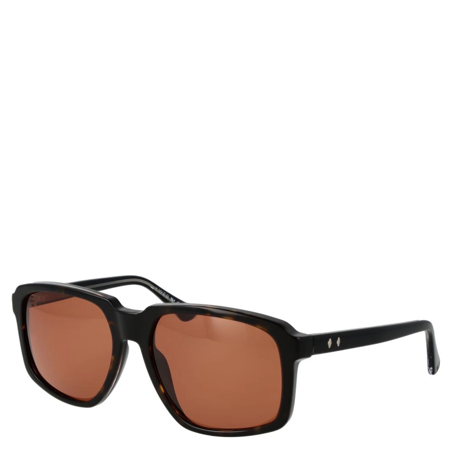 Brown Acetate Sunglasses