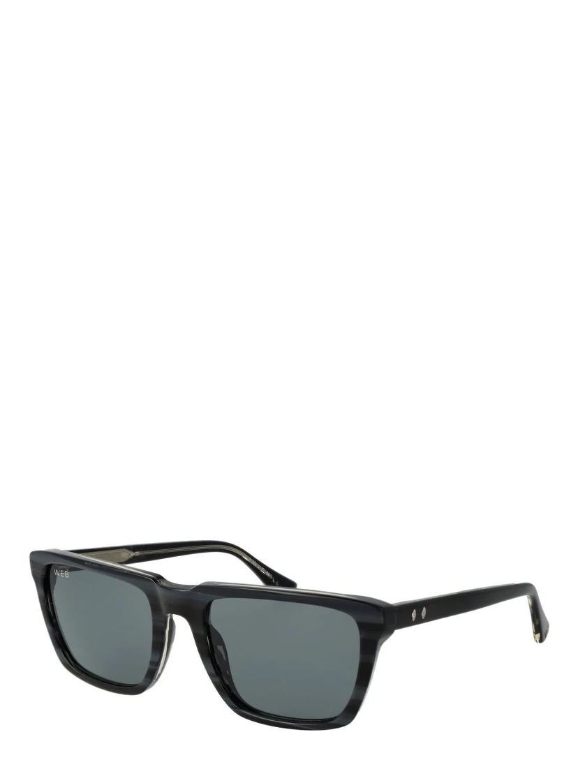 Gray Acetate Sunglasses