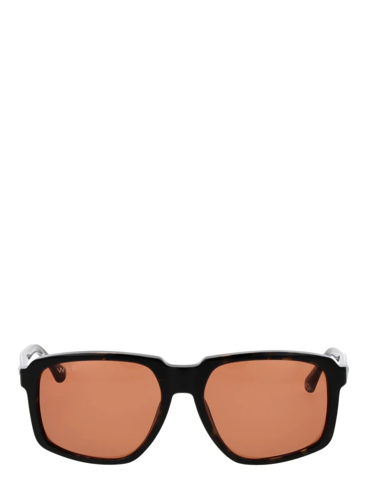 Brown Acetate Sunglasses alternative