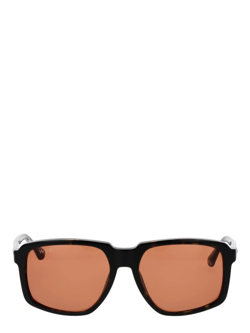 Brown Acetate Sunglasses
