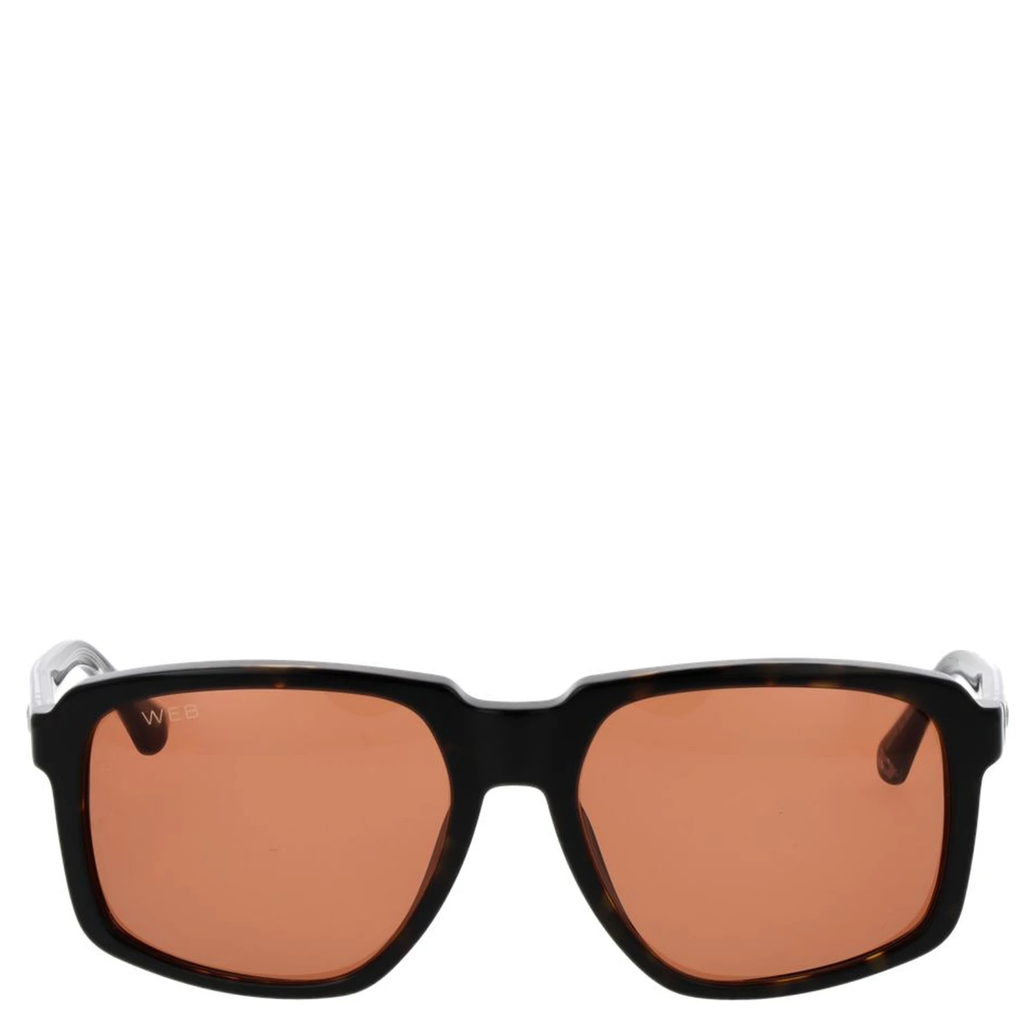 Brown Acetate Sunglasses