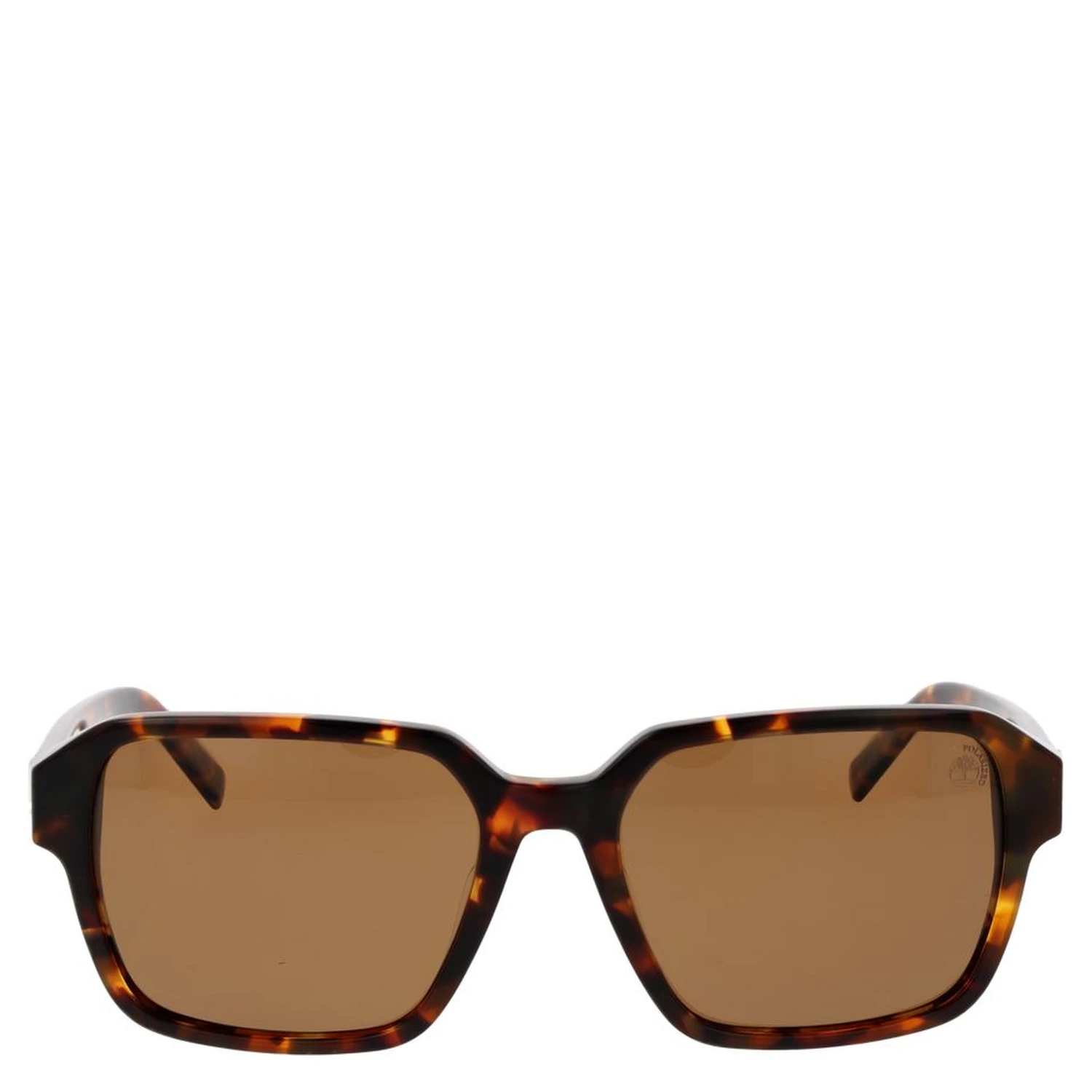 Brown Acetate Sunglasses