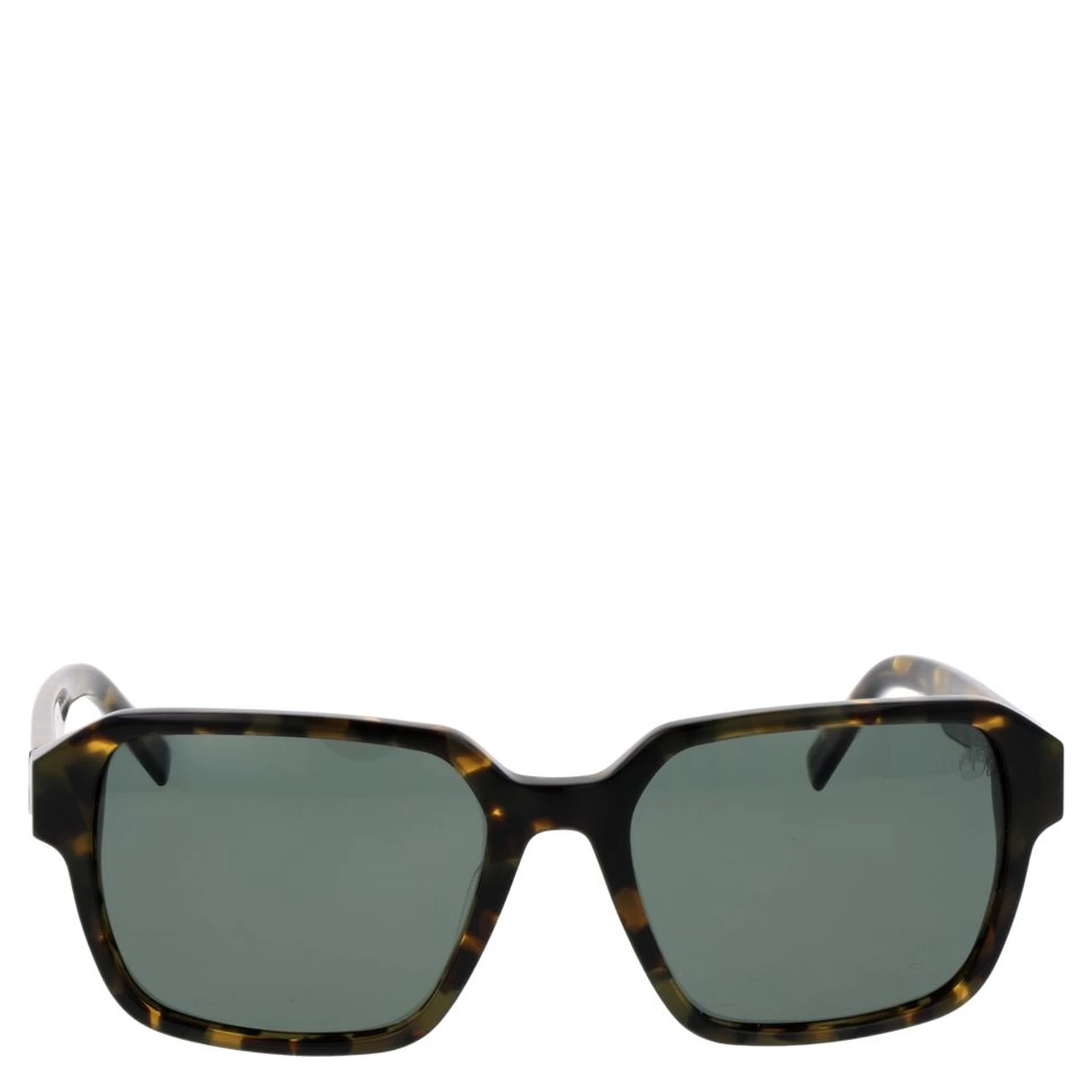 Black Acetate Sunglasses