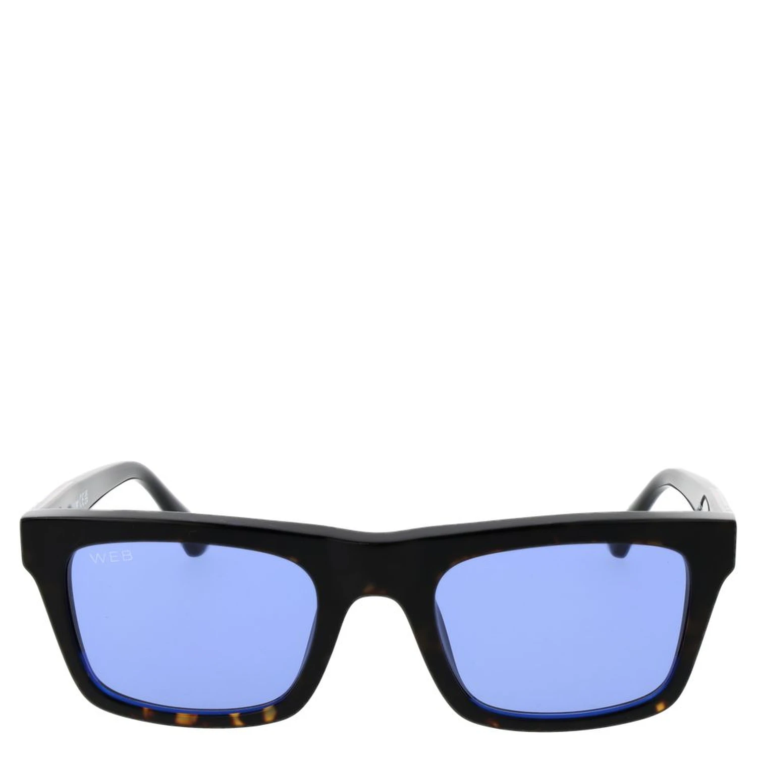 Brown Acetate Sunglasses